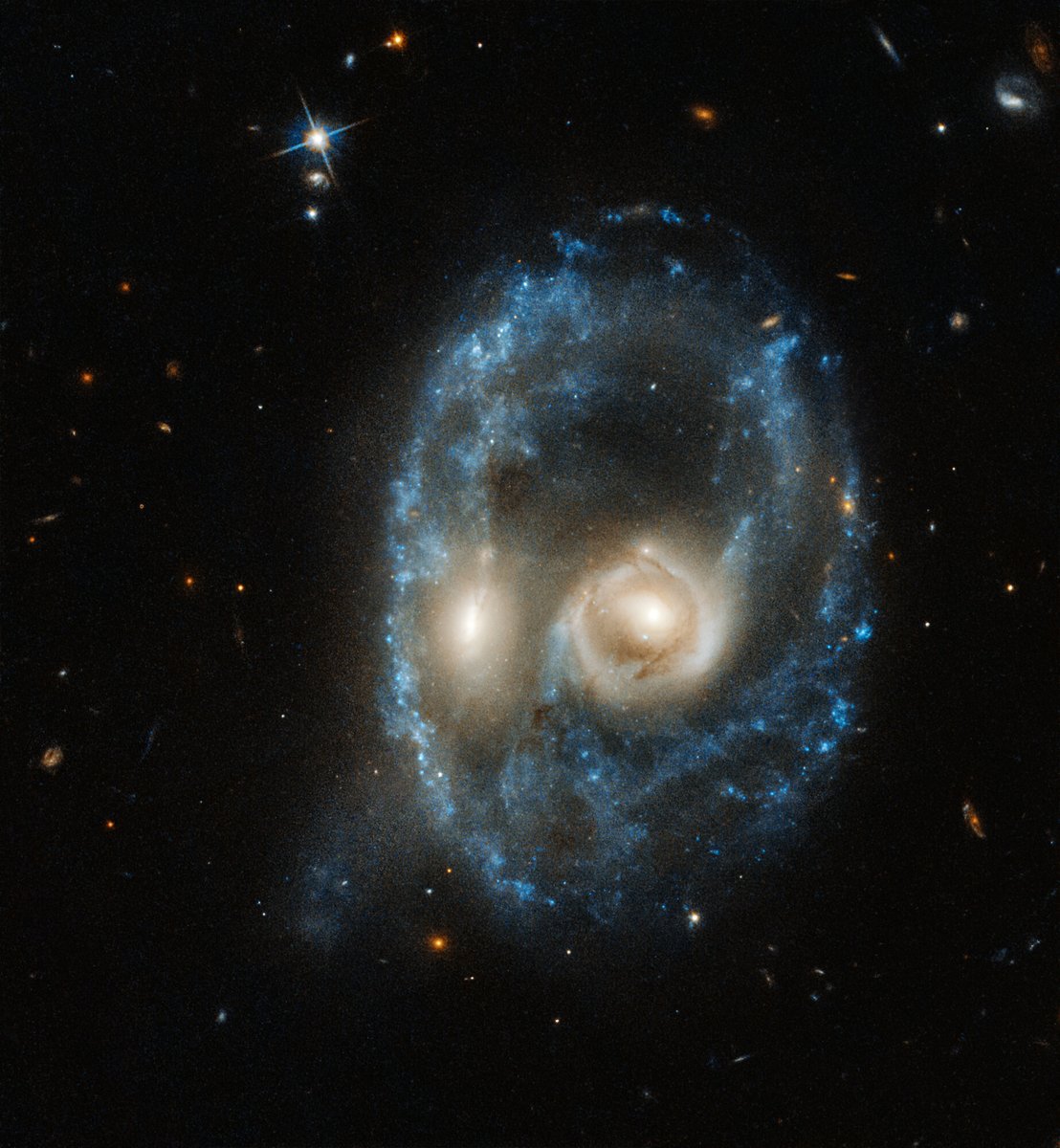 🌌 Hubble captures a cosmic face-off! Two galaxies collide head-on, creating a 'ring' structure in the Arp-Madore 2026-424 system. Witness this fleeting celestial event through Hubble's eyes. #Space #Hubble #Astronomy