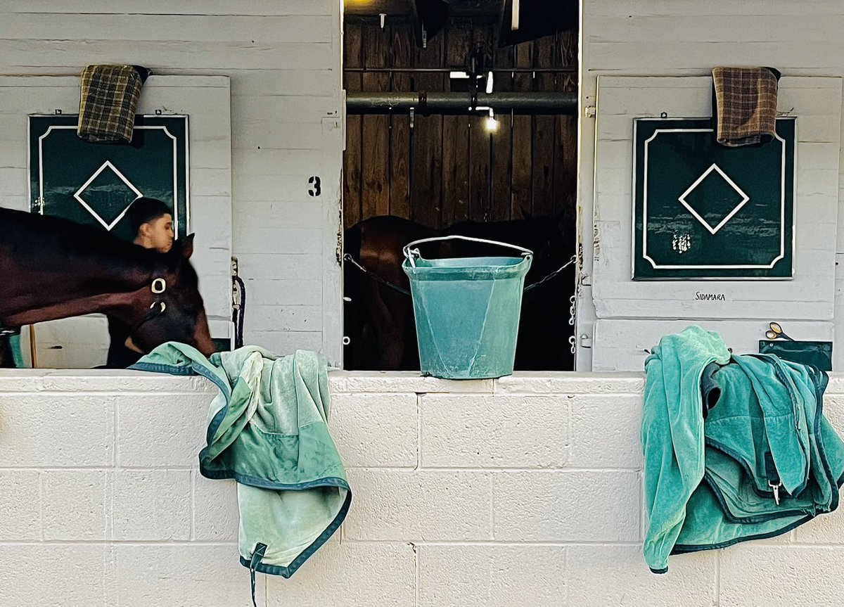 Today’s Found ART shot on my IPhone #churchilldowns #kentuckyderby #horseracing #kentucky #jockey #racehorse #derby #thoroughbred #kyderby #louisville #horses #equestrian #nbcsports #racehorsemag #longines #bbcsport #louisvilleky #equestrianphotographer