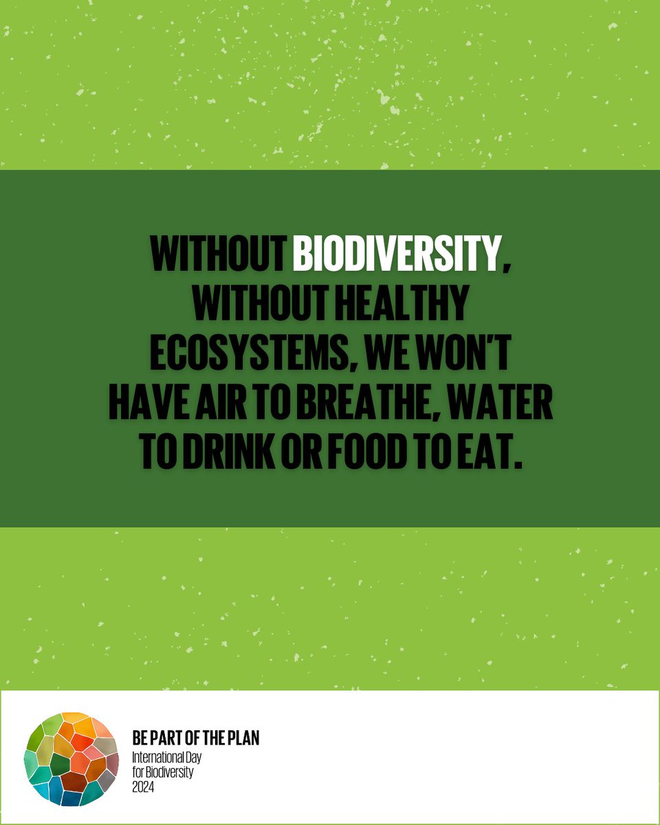 UNBiodiversity tweet picture