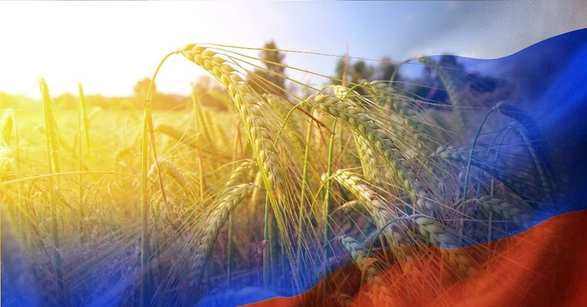 #Volgarev: 🇷🇺Russia makes a significant contribution to ensuring global food security. The vast majority of agricultural exports go to developing countries.
🌾200 thousand tons of grain were delivered for free to the poorest African states — Mali, Burkina Faso, Zimbabwe, Somalia,