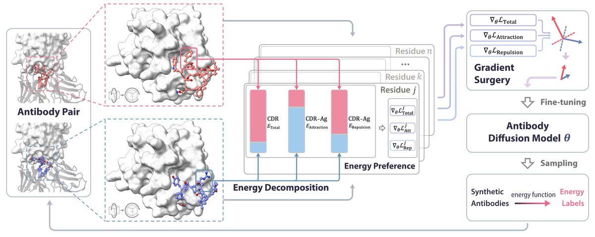 How to steer generative antibody design models to design antibodies satisfying user-desired preferences, such as rationality and functionality🤔?  
We are thrilled to introduce AbDPO, a general framework for antibody design via energy-based preference optimization. 
The preprint,…