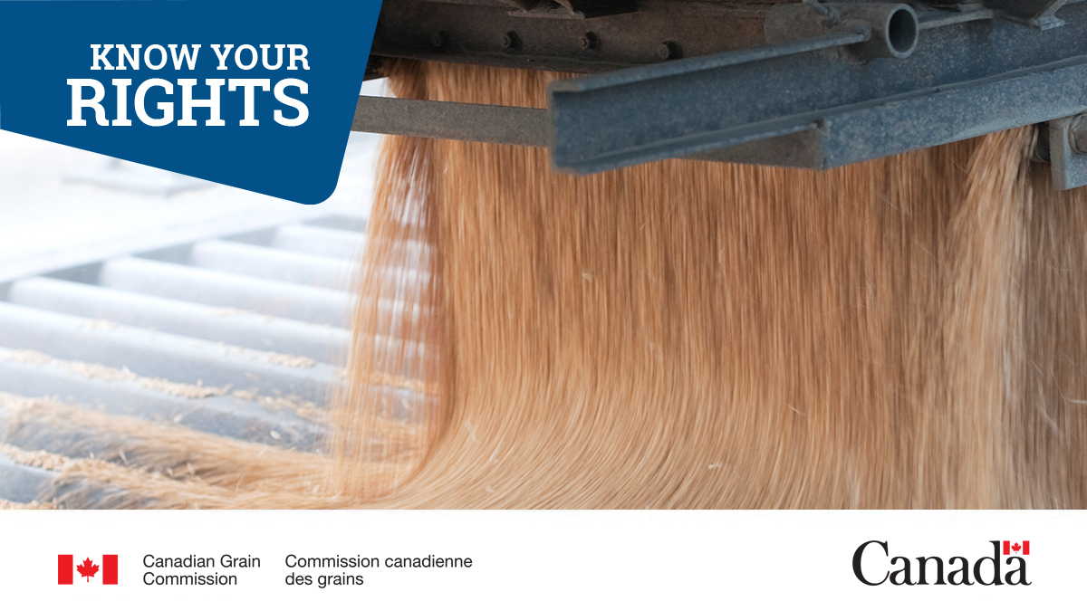 Know Your Rights before you deliver your grain to:
- primary, process or terminal elevators
- grain dealers or associated agents
Your rights are also different if you’re in #WestCdnAg or #EastCdnAg

Learn about your rights at delivery: ow.ly/T0fH50RouEN