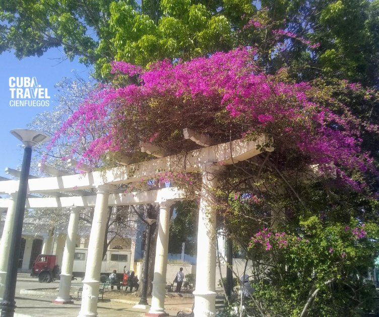 Hello,May!🌺 otro mes donde el paisaje de Cienfuegos cambia cada dia,cada hora #CubaUnica #CubaTravel #InfoturCienfuegos #CubaÚnica