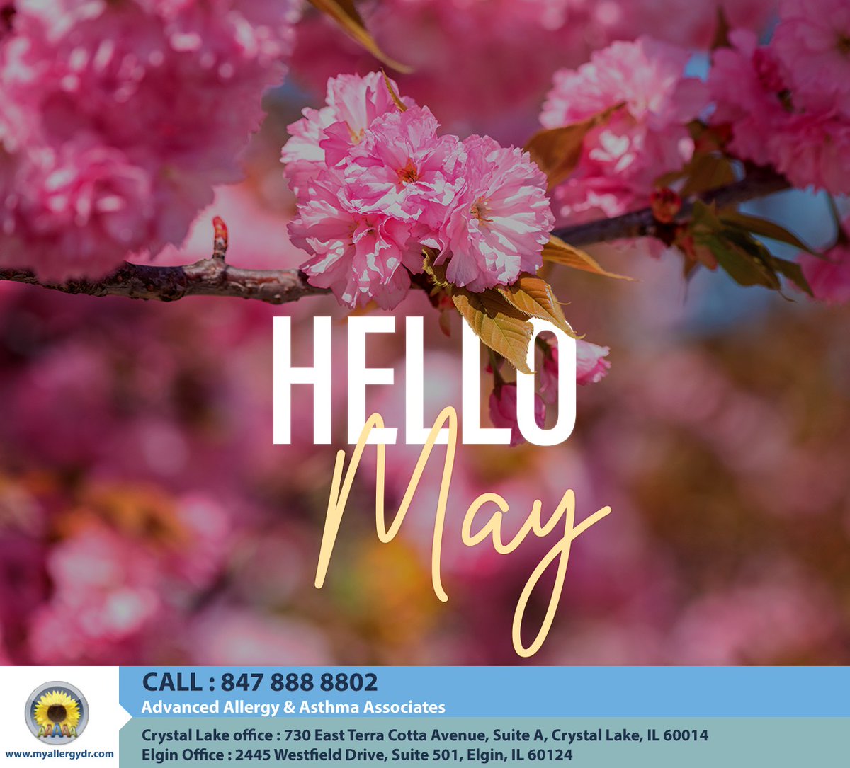 #inspiration #may #may2024 #spring #spring2024 #hellomay #happybeginning #goodvibes #goodvibesonly #crystallake #IL #myallergydr