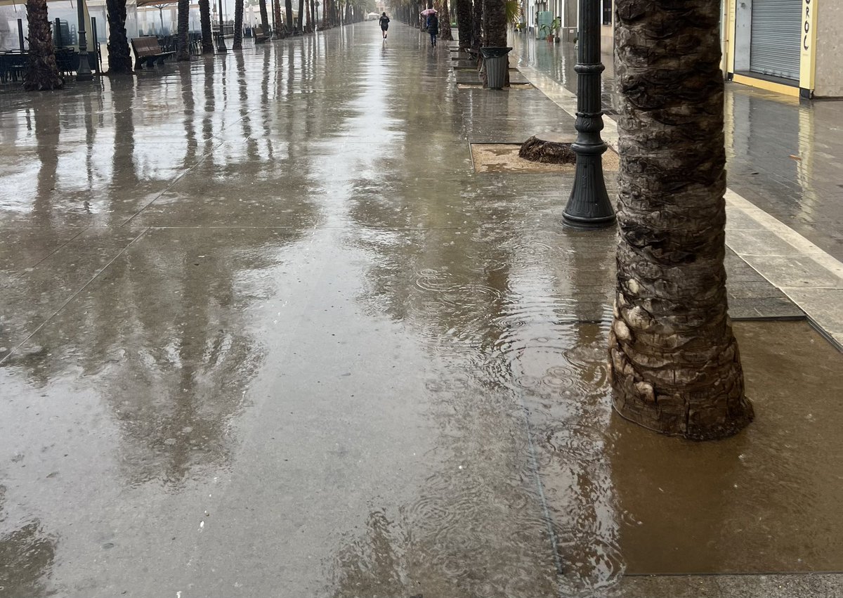 ☔️Ja portem 47.8 mm recollits a #Badalona. Feia molt de temps que no plovia tant a la ciutat. (Dades provisionals observatori @MuseuBdn)