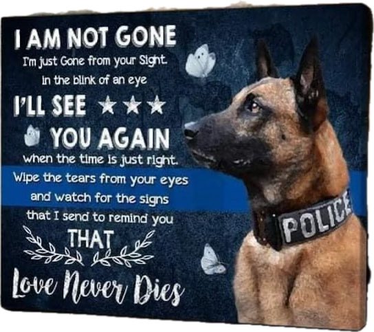 Yes. Can you believe we have to donate so our K9s can be properly outfitted? (which I gladly do each month.) Money spent for their funerals/memorials when killed in the line of duty would be better spent on a ballistic vest.