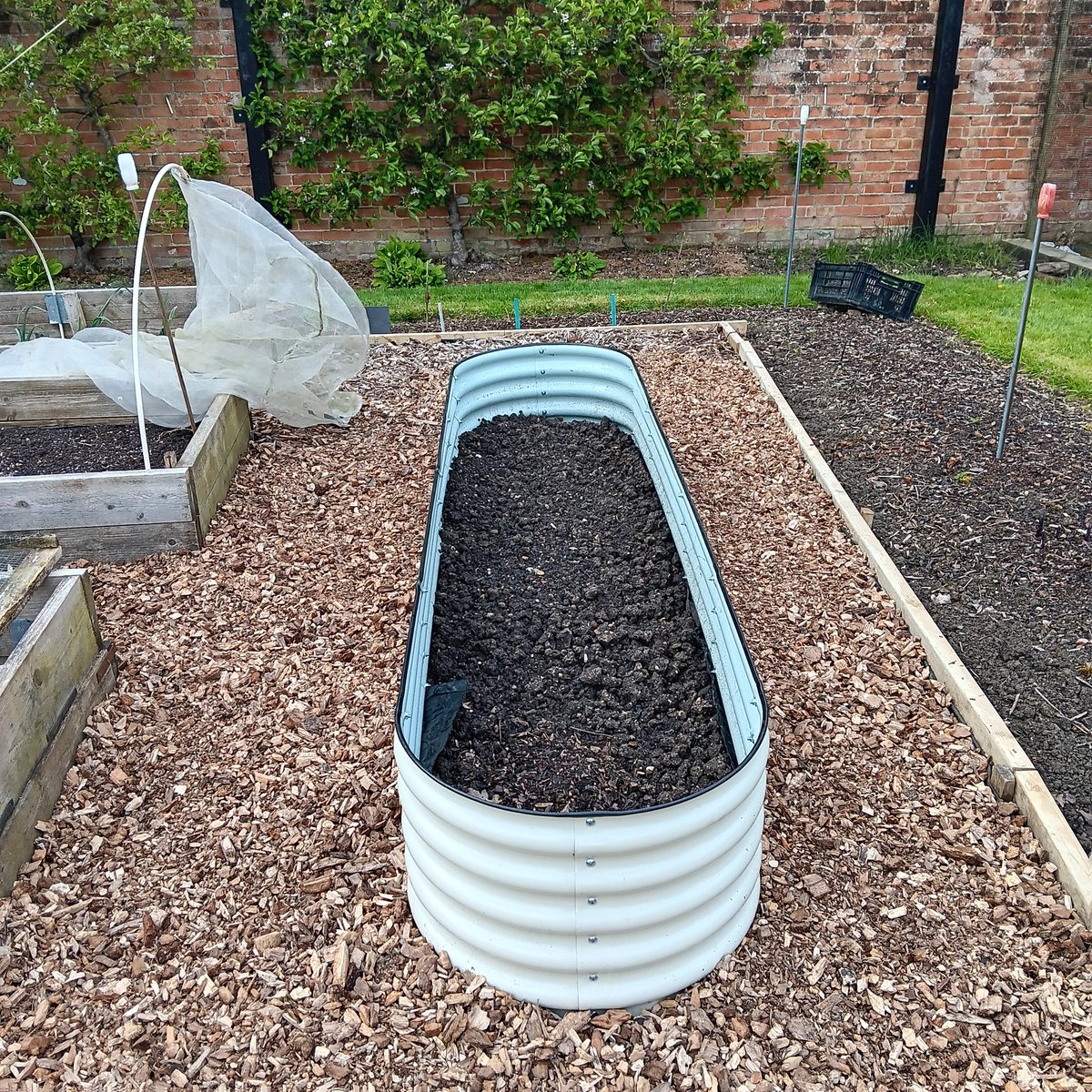 Renewing raised beds. Hope to get some long parsnips out of the new metal one after compost has gone in on top of the Warwickshire clay! @RobsAllotment @twkg