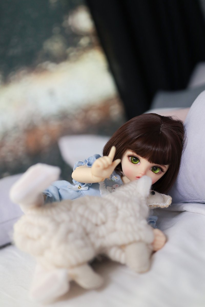 양파랑 굿나잇💤