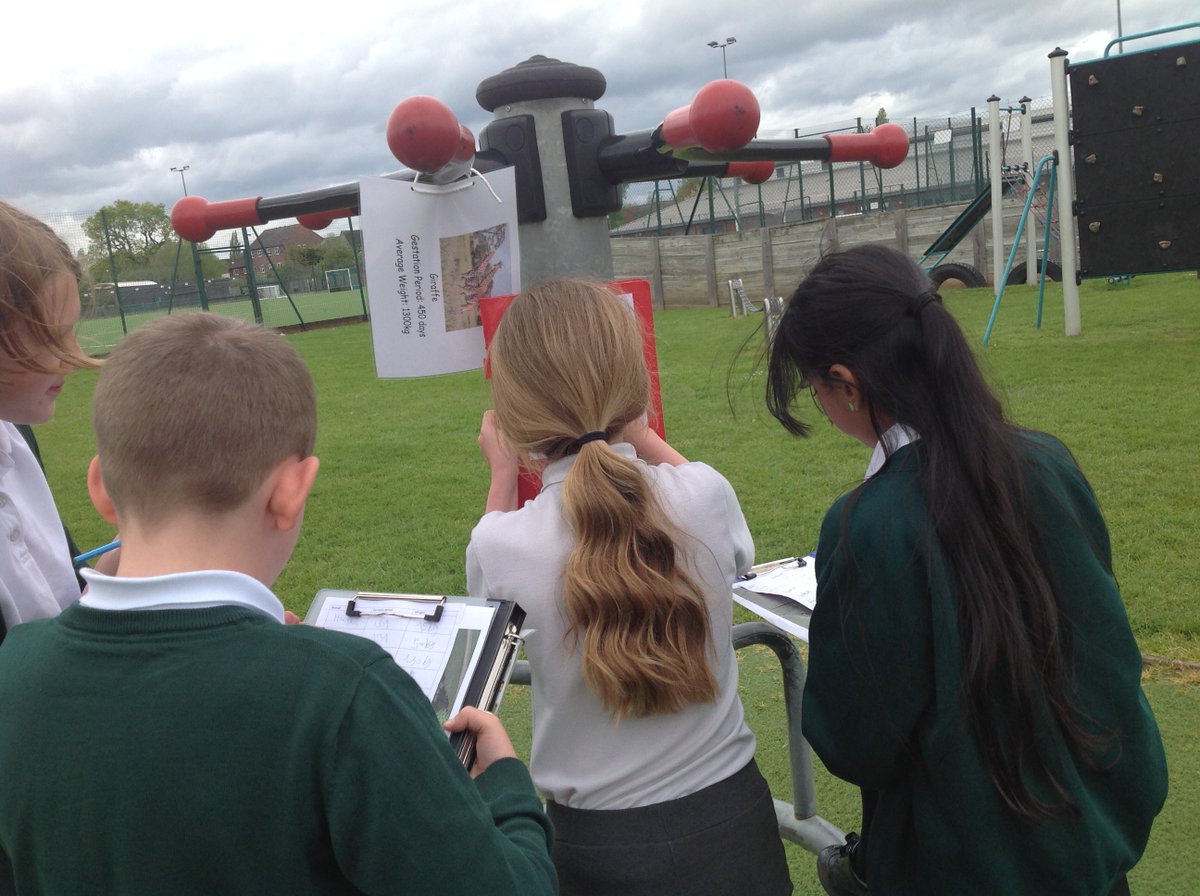 Crocodiles Class (@crocclass) on Twitter photo Which animal has the longest gestation period? Is it the heaviest animal? Crocodiles Class went on a scavenger hunt this afternoon to collect data about the gestation periods of different animals to test out the predictions they had made. There were a few surprises! <a href="/WillowsCE/">Holy Trinity C of E Primary School</a> Which animal has the longest gestation period? Is it the heaviest animal? Crocodiles Class went on a scavenger hunt this afternoon to collect data about the gestation periods of different animals to test out the predictions they had made. There were a few surprises! <a href="/WillowsCE/">Holy Trinity C of E Primary School</a>