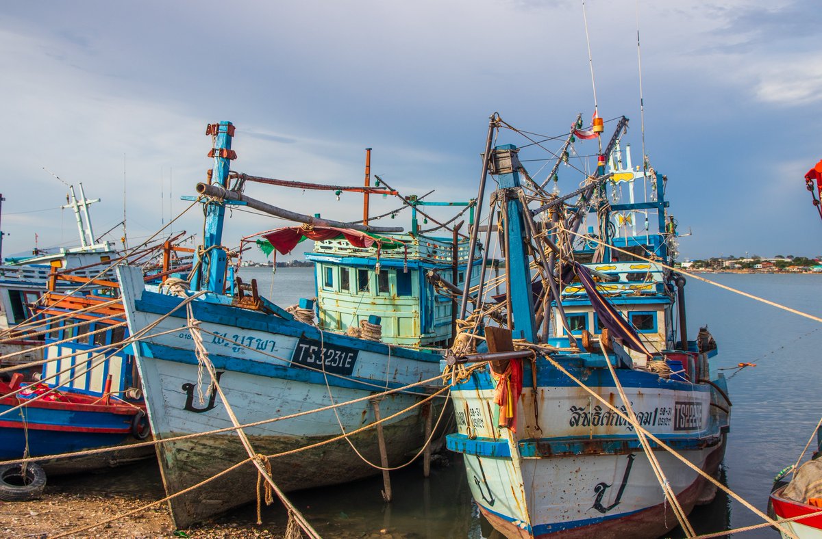 alamy.com/thai-fishing-b…
Fisherman's boats at the Fishing Pier of Pattaya Naklua District Chonburi in Thailand Southeast Asia 
#Thailand #photography #Thai #amazingthailand #thailande #travelphotography  #Pattaya #Travel #TravelTheWorld #traveler #fisherman #fishermen #fishing