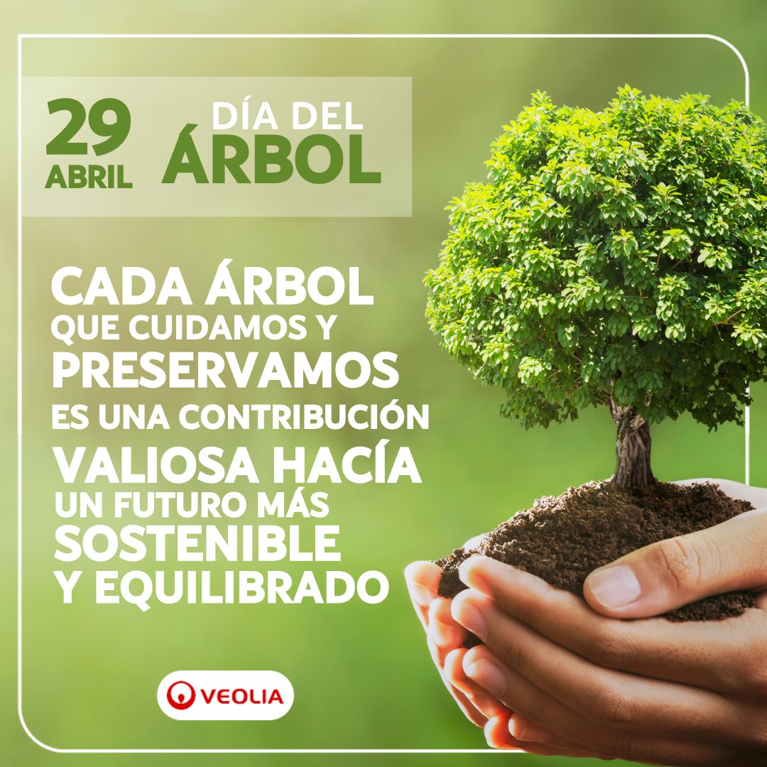 Hoy exaltamos los invaluables beneficios que nos brindan los árboles: proporcionan oxígeno, purifican el aire y generan suelos fértiles. Te invitamos a unirte al cuidado de nuestro entorno, sé parte de la transformación ecológica y contribuye plantando un árbol.🌳