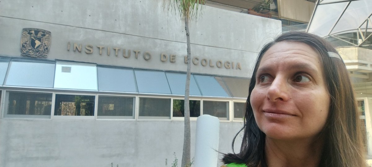 AliciaMstt tweet media