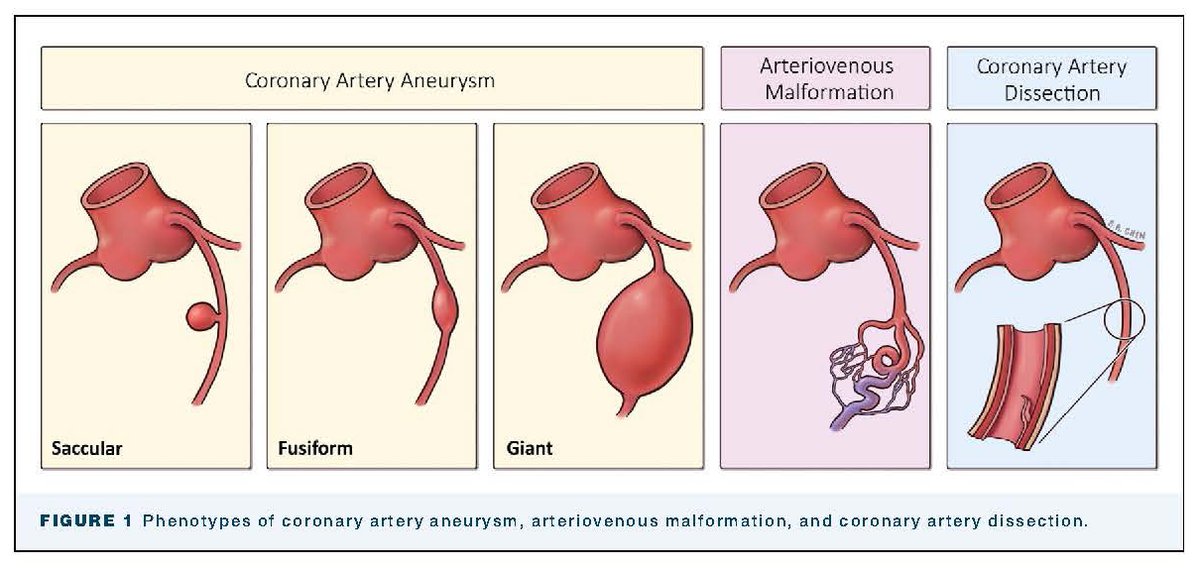 annalsthorsurg tweet picture