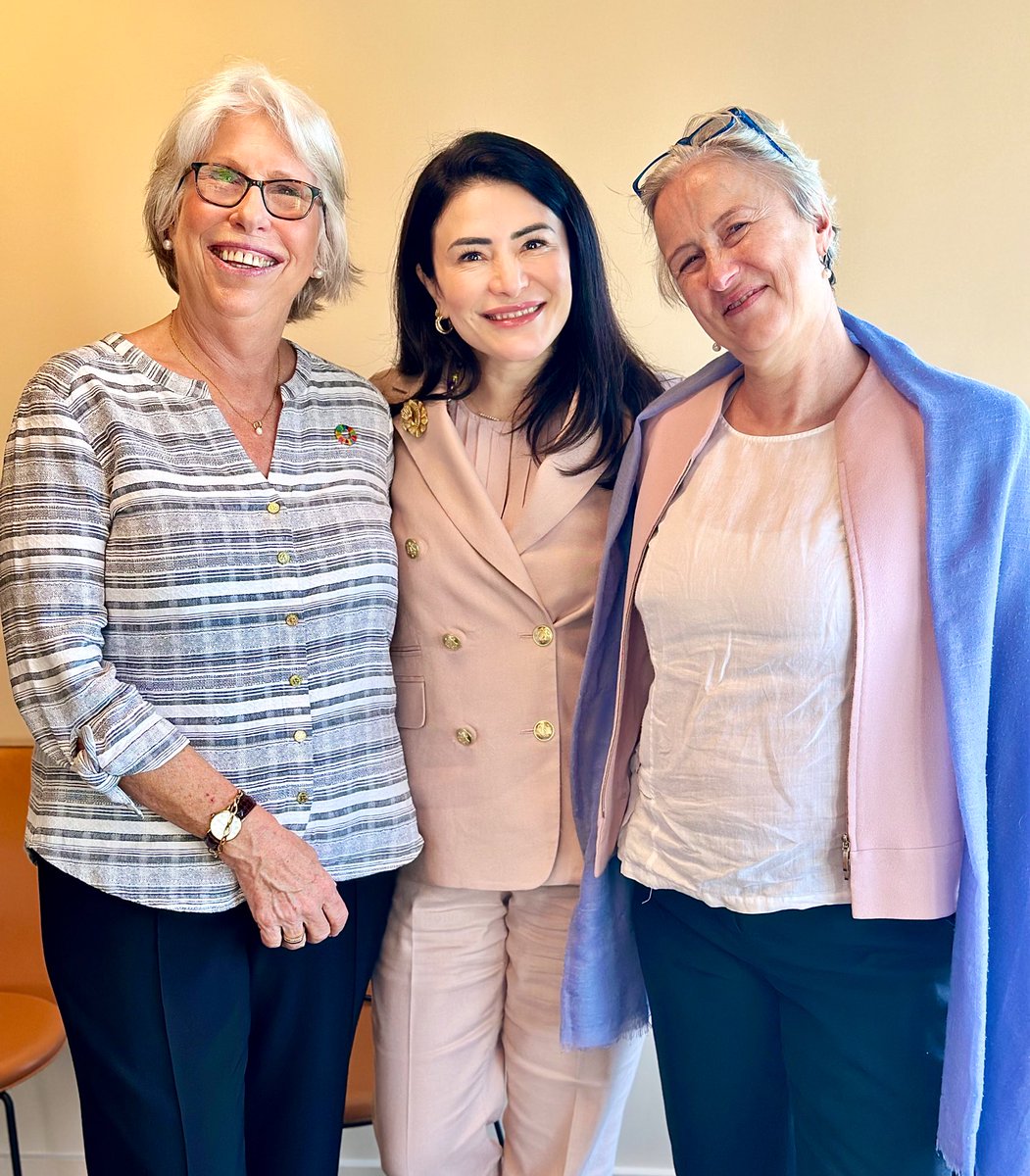 Today marked the final meeting of the Pathfinders' Member States with Sarah Cliffe & Karina Gerlach at the helm. Their visionary leadership & substantive contributions have been invaluable. Wishing them both the very best in their future endeavors! #Pathfinders #SDG16