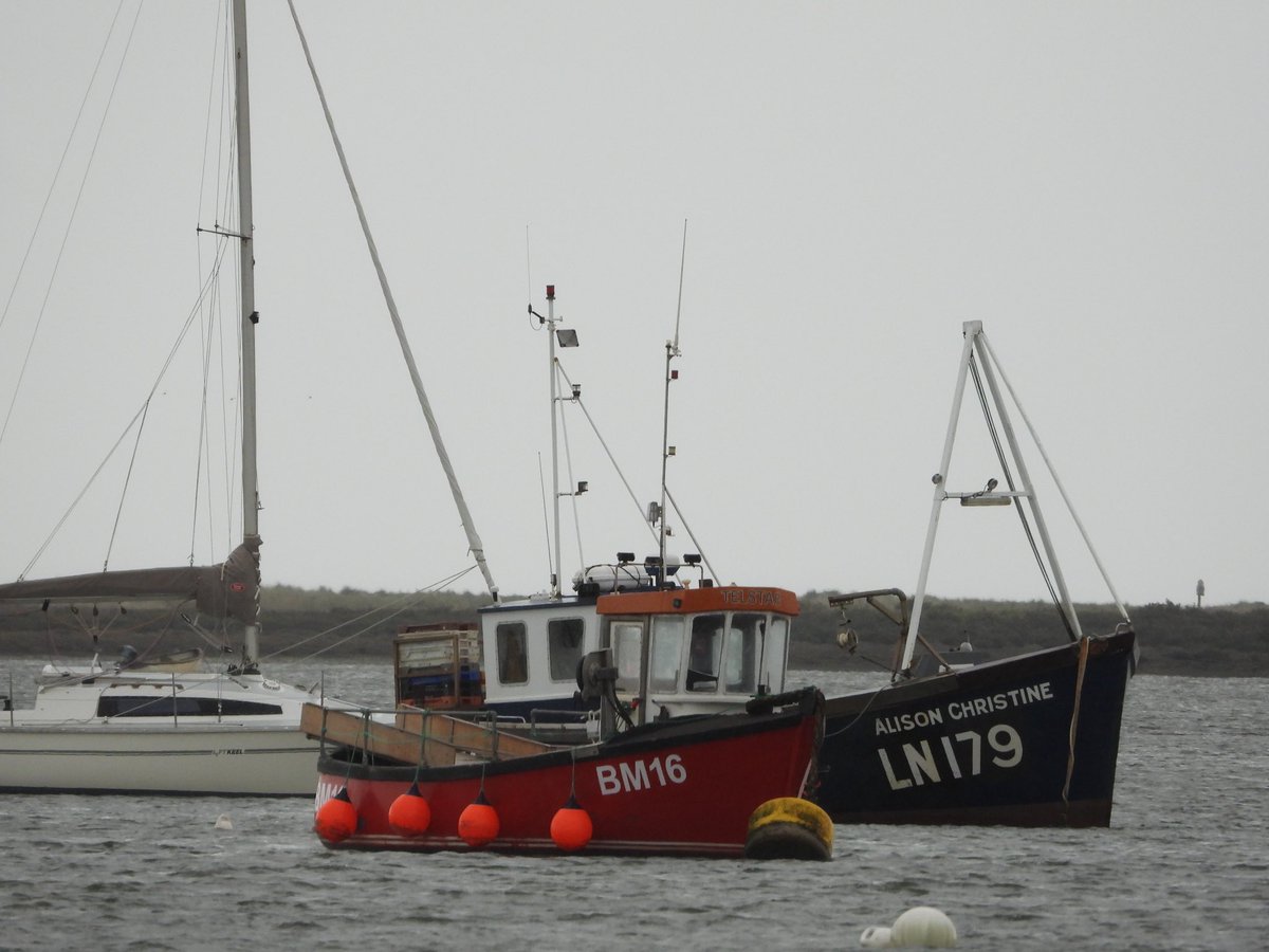 Holme Nature Reserve, stopping at North Norfolk Harbours along the way
youtu.be/TWxgJ4g7a7o #wildlife #wildfowl #nature #NWT #YouTube