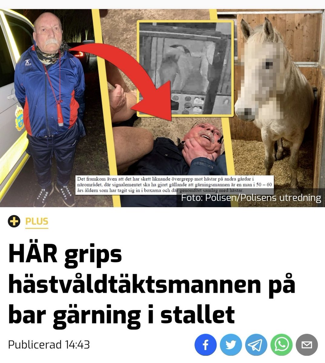 De pixlade hästen😂