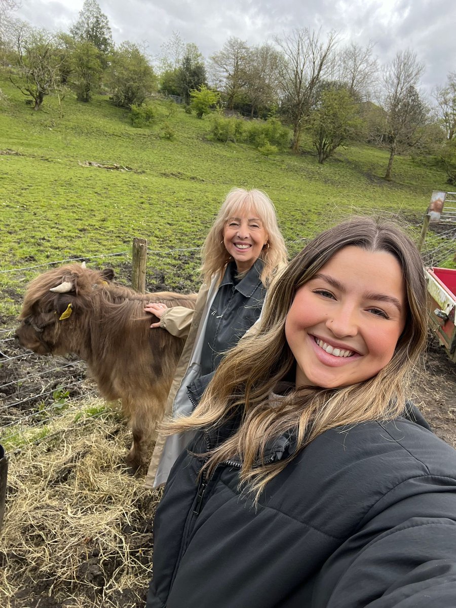 Highland cow experience ❤️