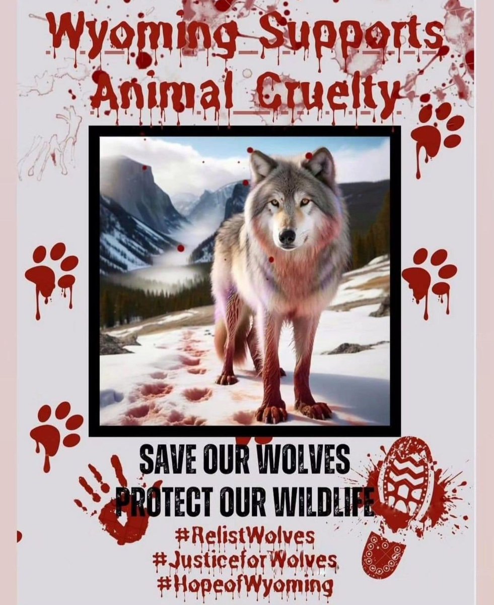 #Codyroberts #justiceforspirit
Come on, ladies and gentlemen, we're on the brink of 195,000 signatures with a goal of 200k. This man needs  prison for torturing a baby 9 month old female wolf. He beat it with a bat, he tortured her. Ultimately after she wouldn't die, he shot her.