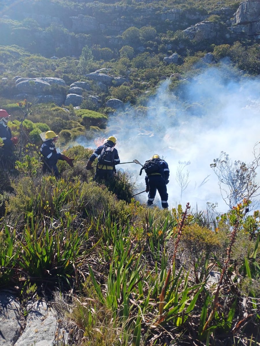 ⚠️Fire Alert⚠️ WOF- Kishugu Joint Venture’s ground and aerial resources assisting SANParks, in fighting the Back Table Fire in Cape Town. #NewlandsTeam #SANParks #BackTableFire