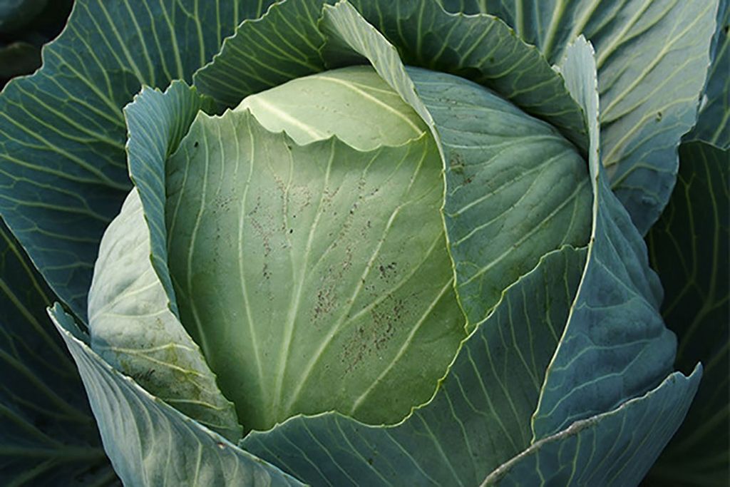 Topsector TU tweet media