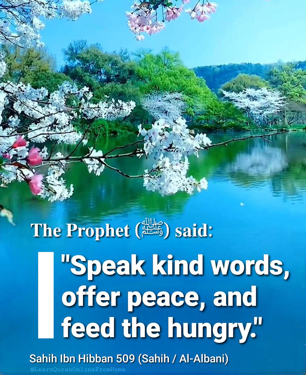 𝐓𝐡𝐞 𝐏𝐫𝐨𝐩𝐡𝐞𝐭 (ﷺ) 𝐬𝐚𝐢𝐝:

'Speak kind words, offer peace, and feed the hungry.'

[Sahih Ibn Hibban : 509]

┌─𝗟𝗘𝗔𝗥𝗡 | 𝗜𝗠𝗣𝗟𝗘𝗠𝗘𝗡𝗧 | 𝗦𝗛𝗔𝗥𝗘