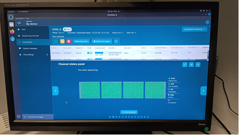 An update from our lab: The first Wales Gene Park double run of sequencing on the PromethION device has started this afternoon. Good to see all that green! @nanopore @cardiffuni #DNASequencing #NGS #longread #10kbprotocol #Promethion