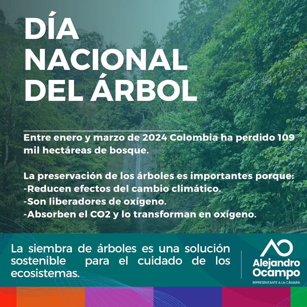 En el 2024 Colombia ha perdido 109 mil hectáreas de bosque.

En el #DíaNacionalDelÁrbol impulsemos la siembra de árboles nativos para preservar los ecosistemas y mitigar el impacto de la deforestación en nuestro país.