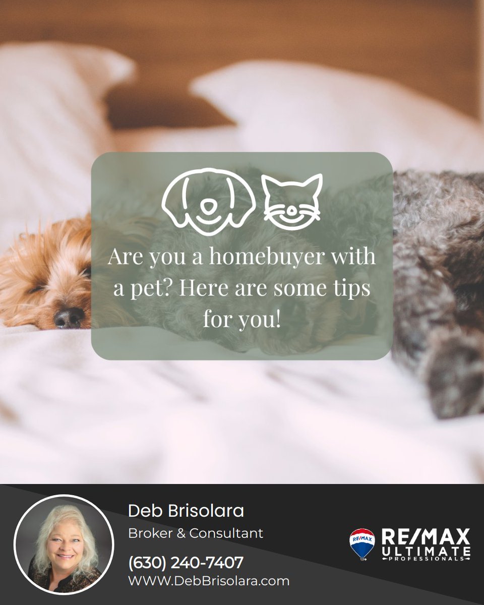 Here are the most important features of a home that pet lovers look for:

1) A fenced backyard
2) Laminate flooring
3) A place to hide the litter box
4) A nearby walking path
5) A spot to put the dog's kennel
6) A dog park

#petlover #petlovers #dogs #homesbydebra