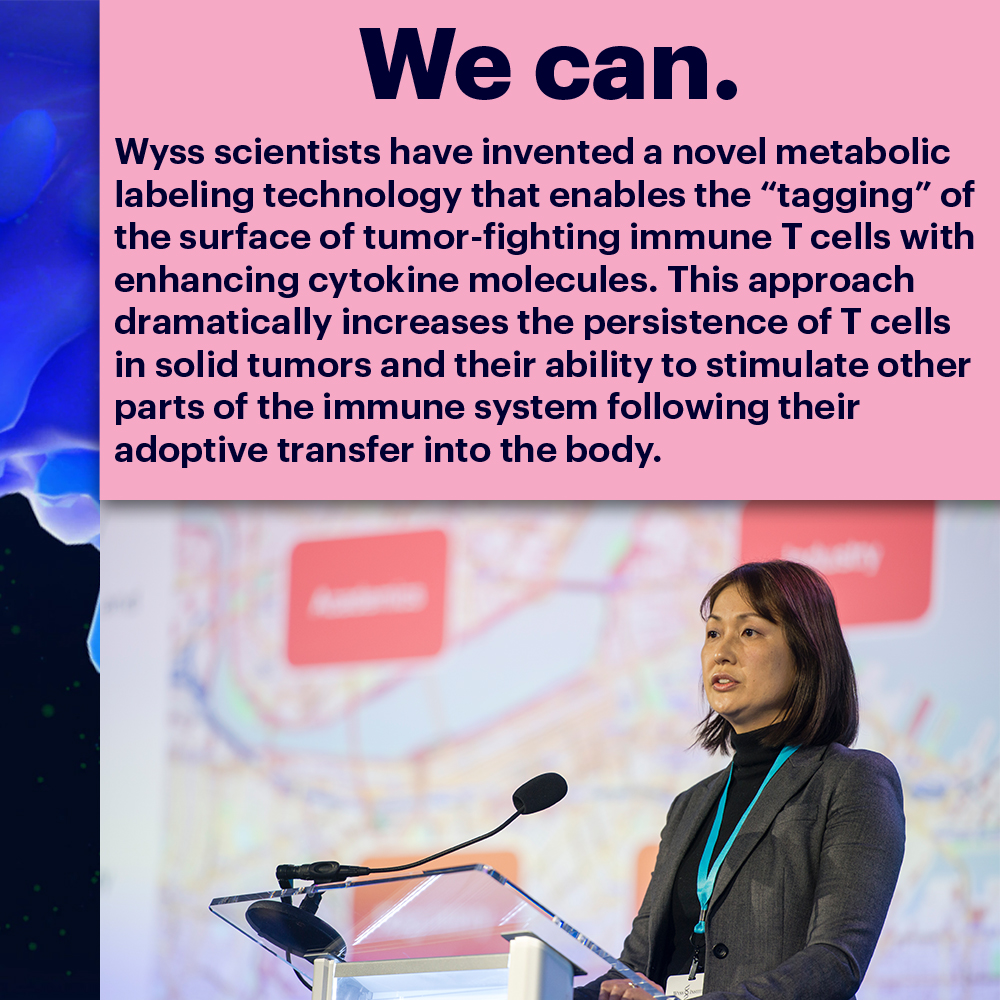 Did you know that 90% of diagnosed cancers form solid tumors? The Wyss' novel metabolic labeling technology can better target cancer cells buried deep in tumor masses. Learn more: bit.ly/3SS3Uet #InternationalDayOfImmunology #SolidTumors #CancerResearch