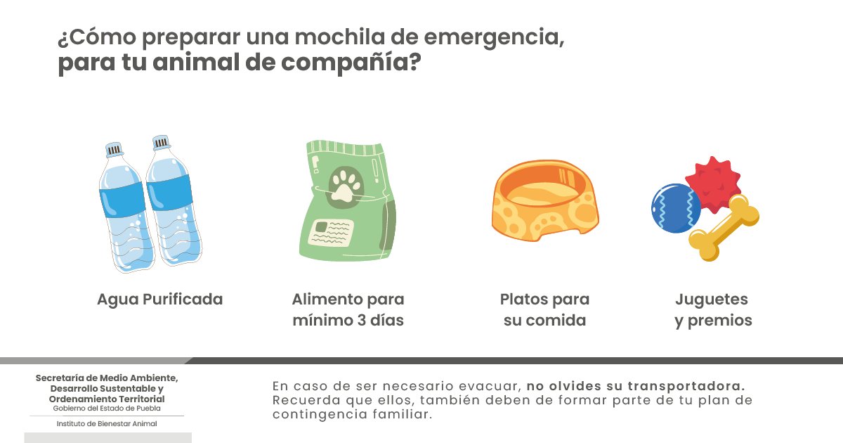 Fomentemos la cultura de la prevención ante una contingencia; toma en cuenta la 🎒mochila de emergencia para tu animal de compañía 🐶🐱, por ello aquí te dejamos los elementos que la conforman 👇