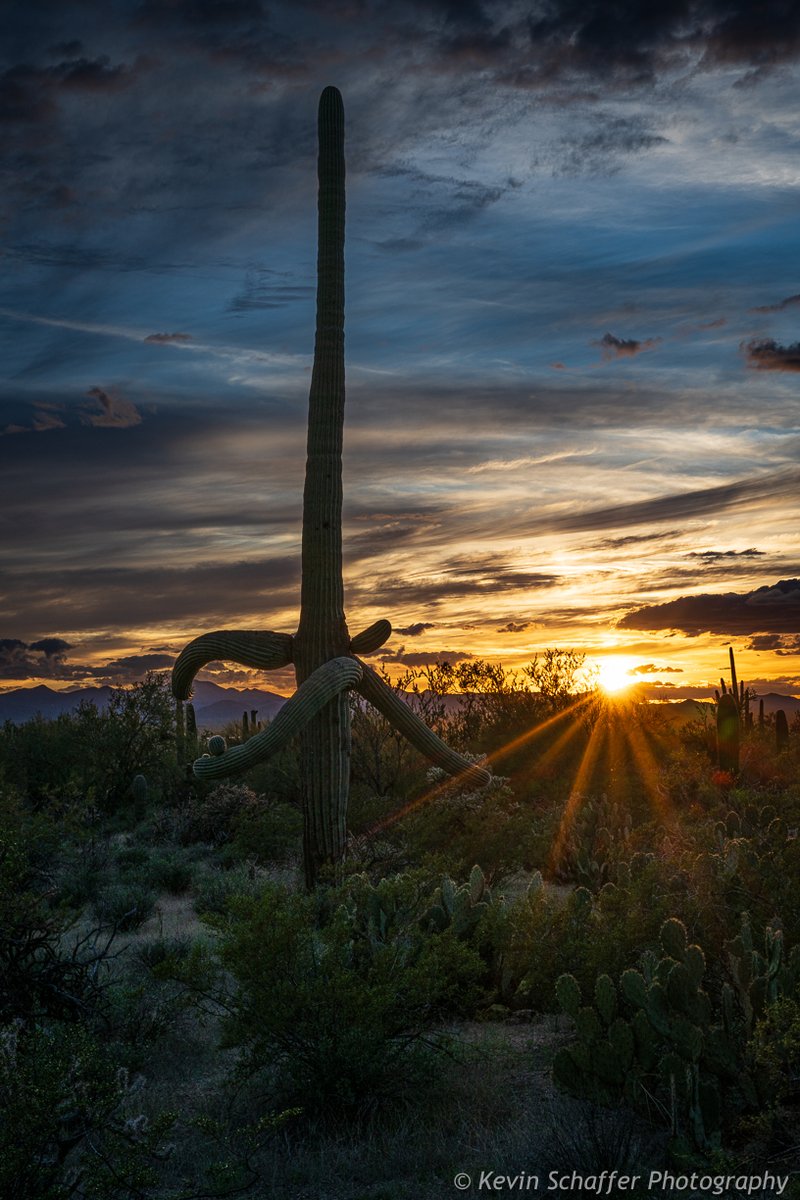 I love saguaro cactuses and desert sunsets. Taken this past February just outside of Saguaro National Park near Tucson, Arizona.

Nikon Z9, Z 24-70mm S lens at 53mm, f22, ISO100, 1/25 second