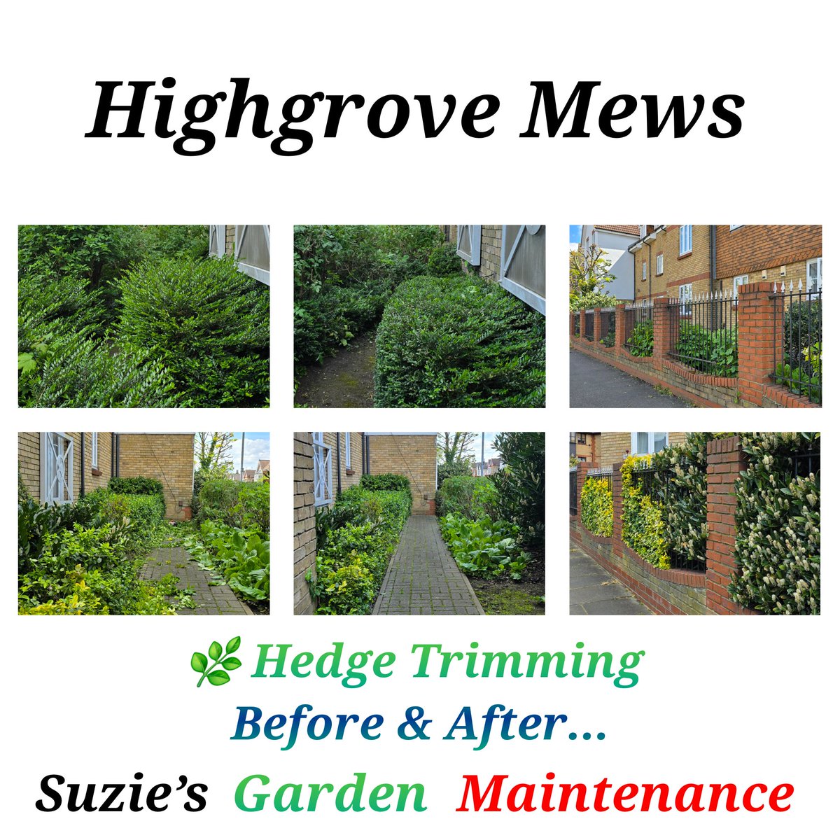 🌿 Garden Maintenance
🌳🏢🌳 Highgrove Mews 

🌿  #Hedge_Trimming #Shrubs
🥤  #Litter_Picking 
🍂  #Leaf #Cuttings #Clearance 
🧹  #Sweeping #Tidy #Pathways
♻️  #Recycling #GreenWaste

#Lady_Gardener #Garden #Grounds #Maintenance #Service 
#Photography #Gardening 
#Before #After