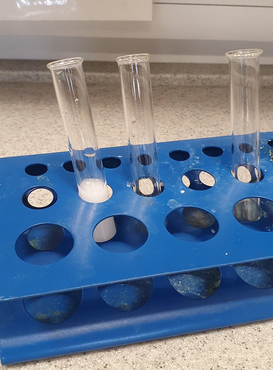 The S3 Chemists have been preparing insoluble salts by precipitation reactions.

👨‍🔬👩‍🔬🧪

#Ambition
#Discovery 
@CathkinHigh 
#itsSLC