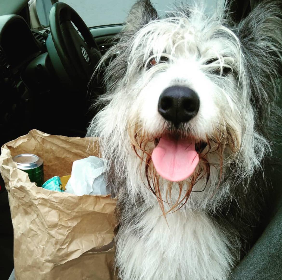 Molly Aylesbury did a dedicated #SpringClean24 during #EarthDay with her four legged friend and encouraged peopleif they were short on time, to take part in a #2MinuteStreetClean. Great work 🐶💚

#SDGsIrl #NationalSpringClean