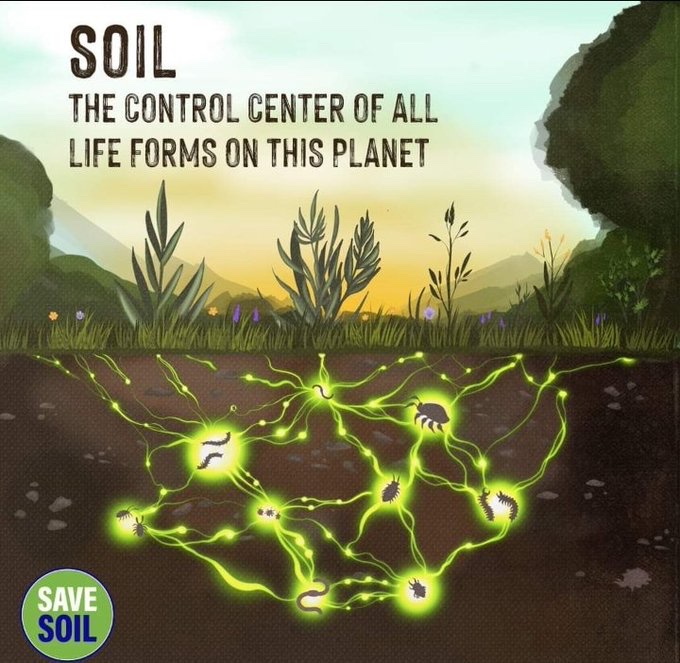 @UNEP 🙏🏽💯 

#GenerationRestoration 
To protect 
#SoilHealth 

#SoilForClimateAction 
#SaveSoil 
#WorldEnvironmentDay