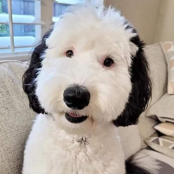 Lo más tierno que verás hoy