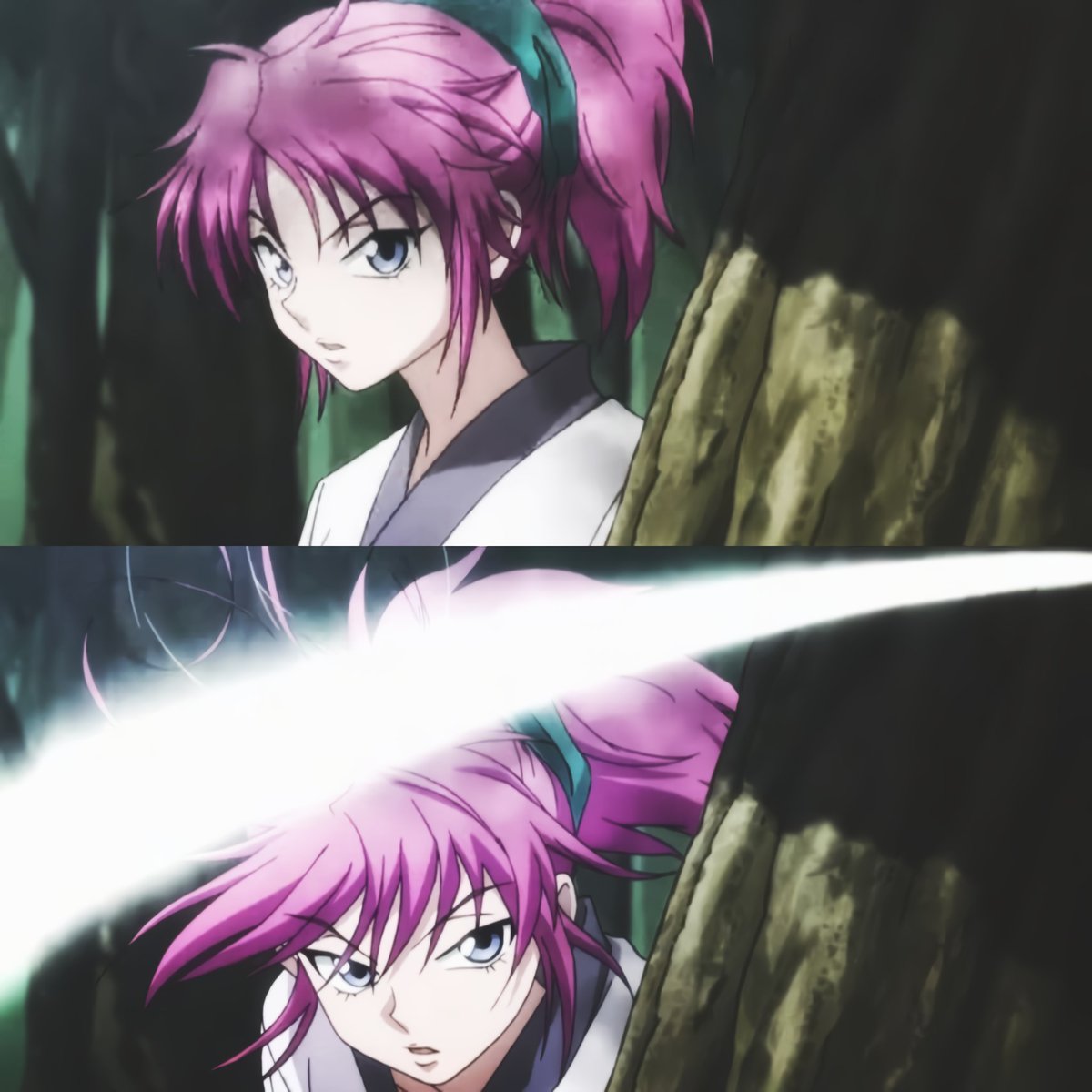 Anime : Hunter x Hunter