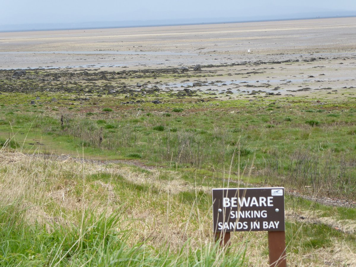 Going for a nice wee walk on Aberlady beach. Wonder why I feel a strange shiver of fear? 🤔