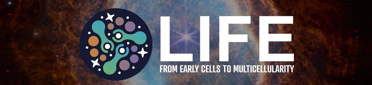 LIFE: From Early Cells to Multicellularity tweet media