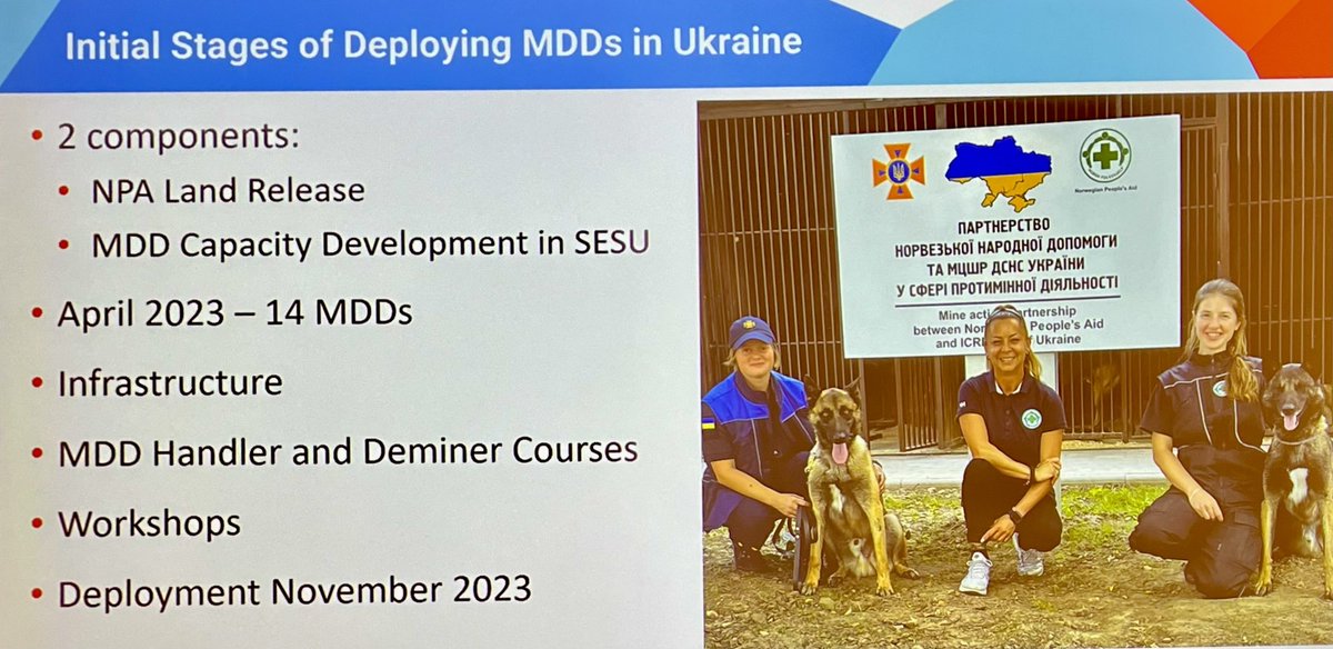 Head of @NPA_GTC Kenan Muftić presented our 3 decades long experience of working with #MDDs at #NDMUN27 & what it takes to train & deploy dogs successfully 🐕💚