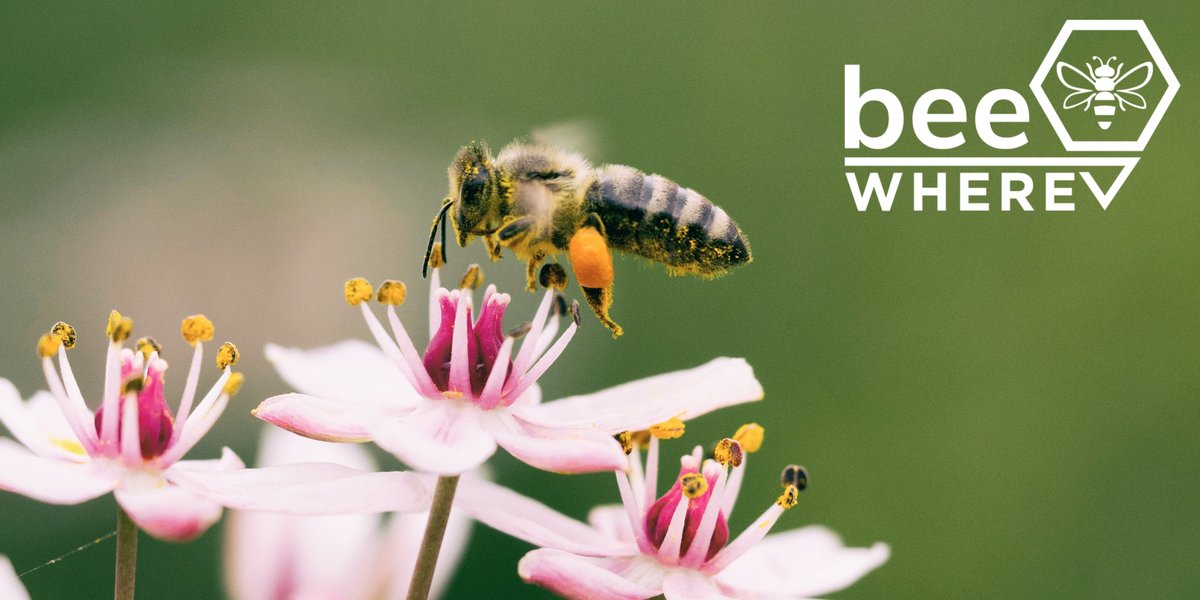In California, BeeWhereCA brings beekeepers, agricultural companies, and pesticide applicators together to protect our pollinators: bees! Learn more today: beewherecalifornia.com