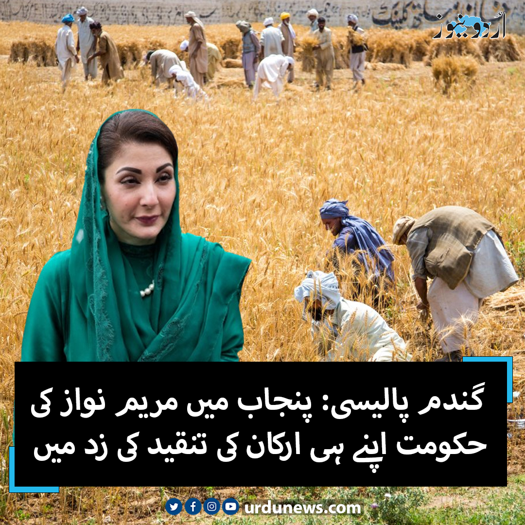 گندم پالیسی: پنجاب میں مریم نواز کی حکومت اپنے ہی ارکان کی تنقید کی زد میں
تفصیل: urdunews.com/node/854776

#MaryamNawaz #Punjab #Wheat #Farmers #WheatPolicy