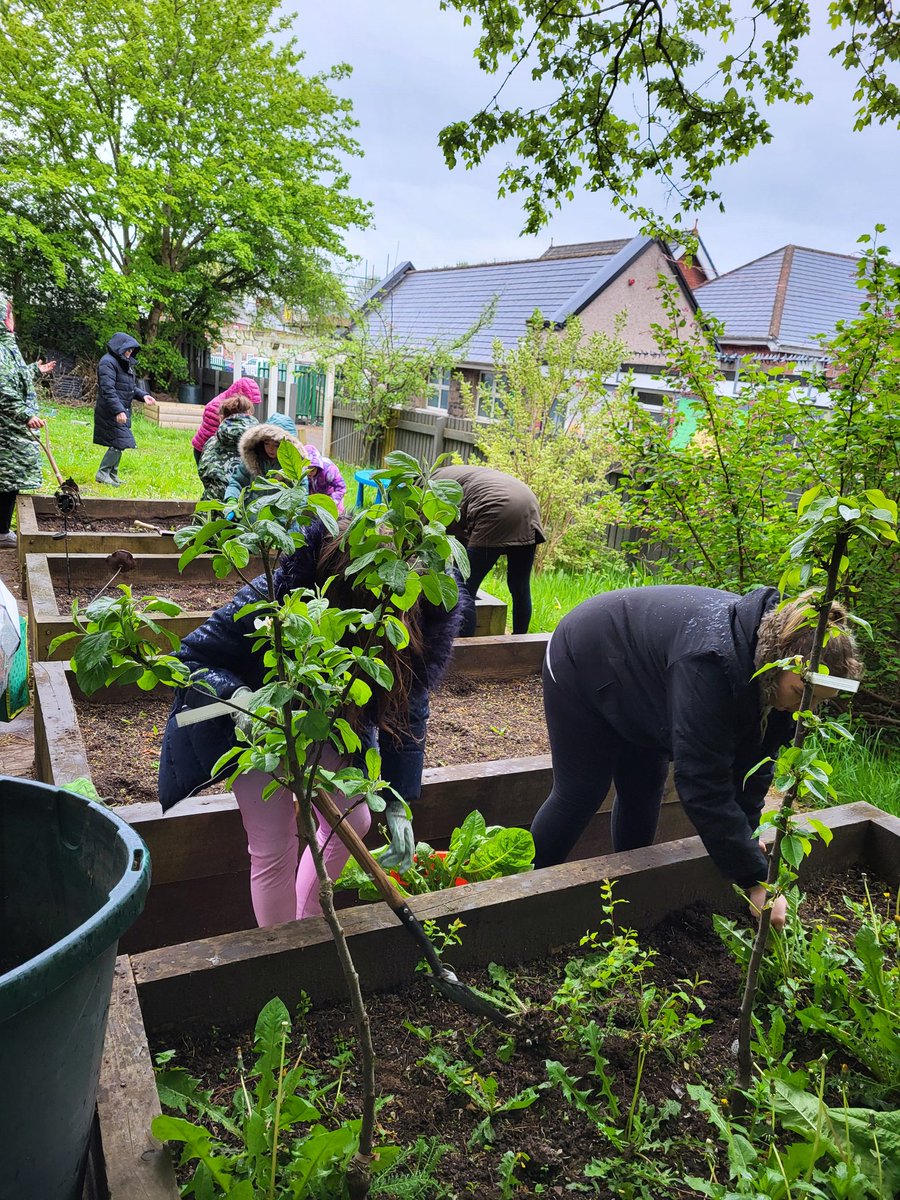 Family Gardening Club had a productive and busy session weeding the raised beds ready for planting to kick off #NationalGardeningWeek 🍃 @EcoSchoolsWales @_OLW_ @FceGyg