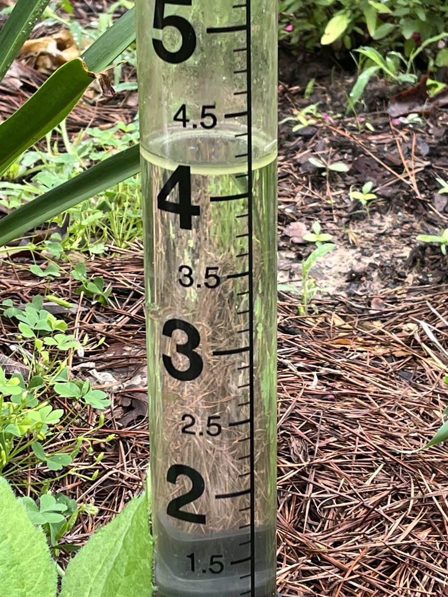 We got quite a bit of rain last night! #rosethicketfarms #homeandgarden #rain #rainfall #aprilshowers