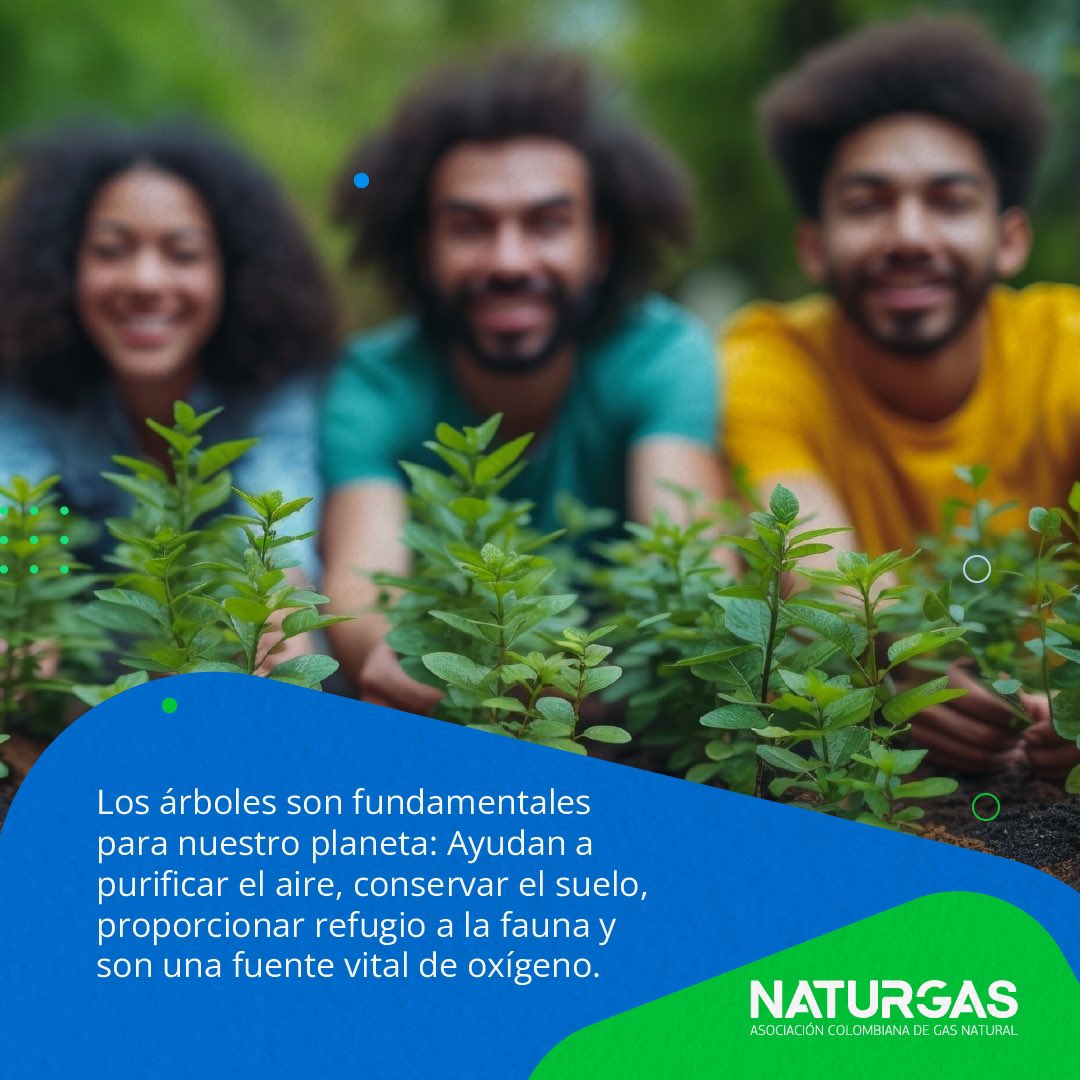 NaturgasCol tweet picture