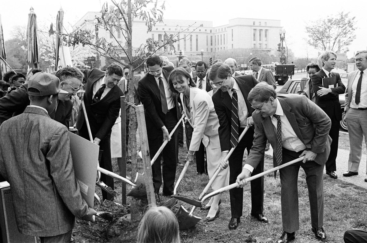 8 Shovels. 1 Tree. Rep Schneider & other Reps planted a tree in 1989. #ArborDay #OralHistory history.house.gov/Oral-History/W…