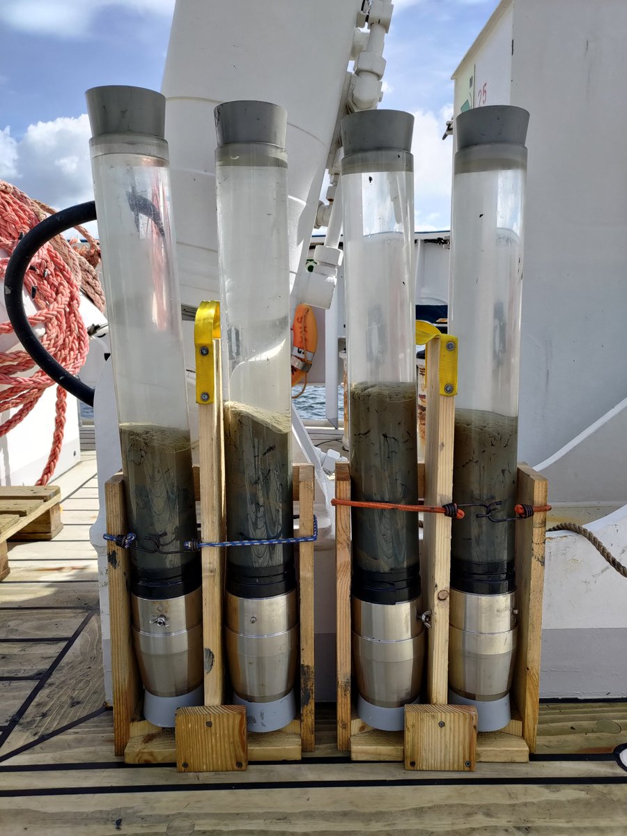 Sea and Society (@sea_and_society) on Twitter photo Last week, participants at the Master course ‘Chemical dynamics at sea’ <a href="/goteborgsuni/">Göteborgs universitet / University of Gothenburg</a> went on a three-day excursion with <a href="/rv_skagerak_gu/">R/V Skagerak</a> to take samples and analyse water and sediment at Hakefjorden and Byfjorden on the Swedish west coast.
#marinechemistry Last week, participants at the Master course ‘Chemical dynamics at sea’ <a href="/goteborgsuni/">Göteborgs universitet / University of Gothenburg</a> went on a three-day excursion with <a href="/rv_skagerak_gu/">R/V Skagerak</a> to take samples and analyse water and sediment at Hakefjorden and Byfjorden on the Swedish west coast.
#marinechemistry