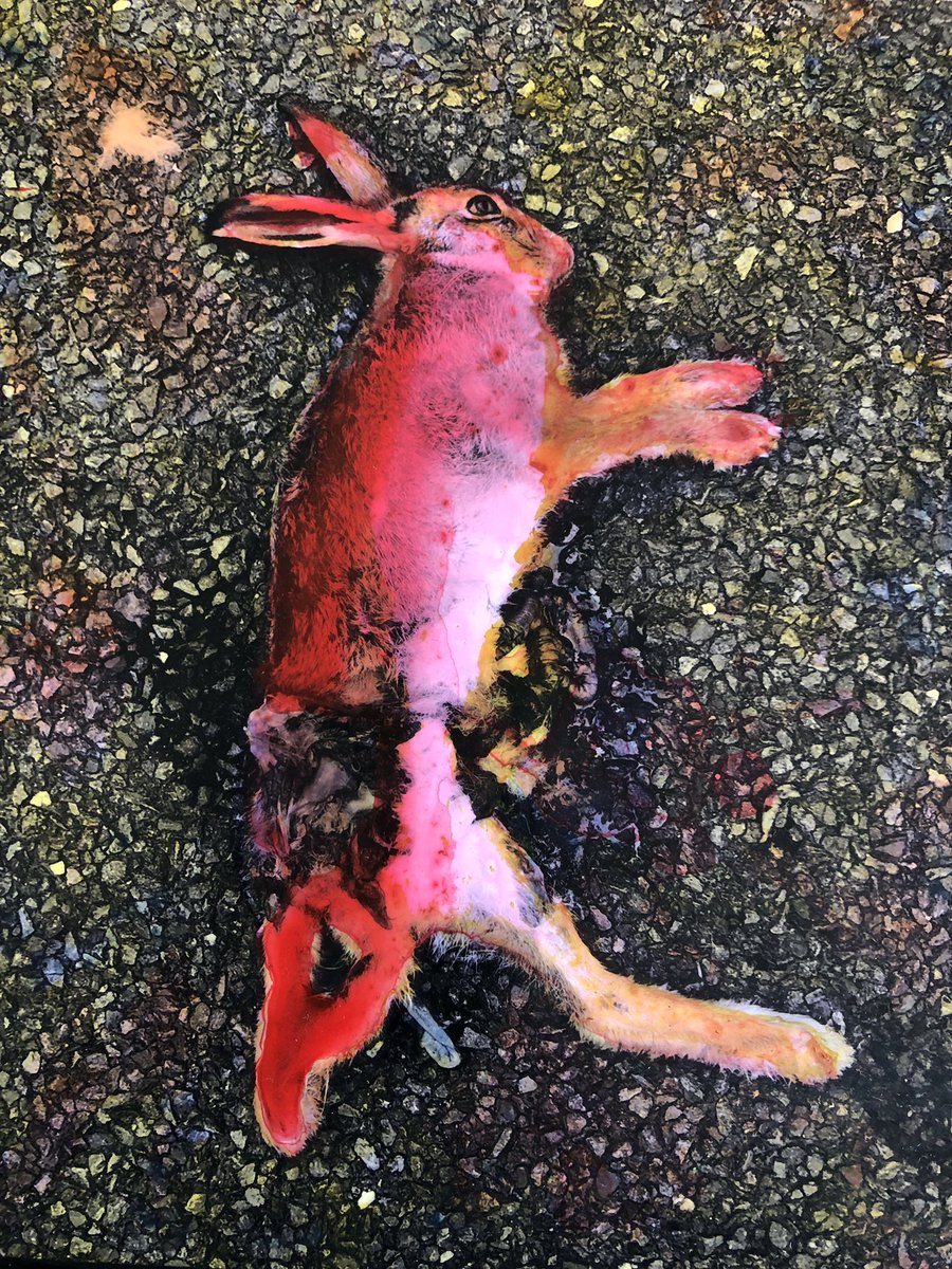 A couple of details from Birds & Beasts of the British Countryside, a series of painted photographs of dead animals found on our daily walks