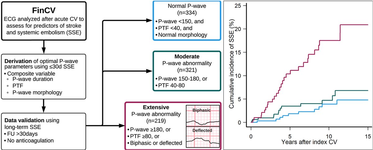 Very happy to share 'Novel electrocardiographic classification for stroke prediction in atrial fibrillation patients undergoing cardioversion' - Heart Rhythm heartrhythmjournal.com/article/S1547-… 
See ECG abnormalities predicting stroke also in CHA2DS2-VASc 0-1 patients after CV for AF.