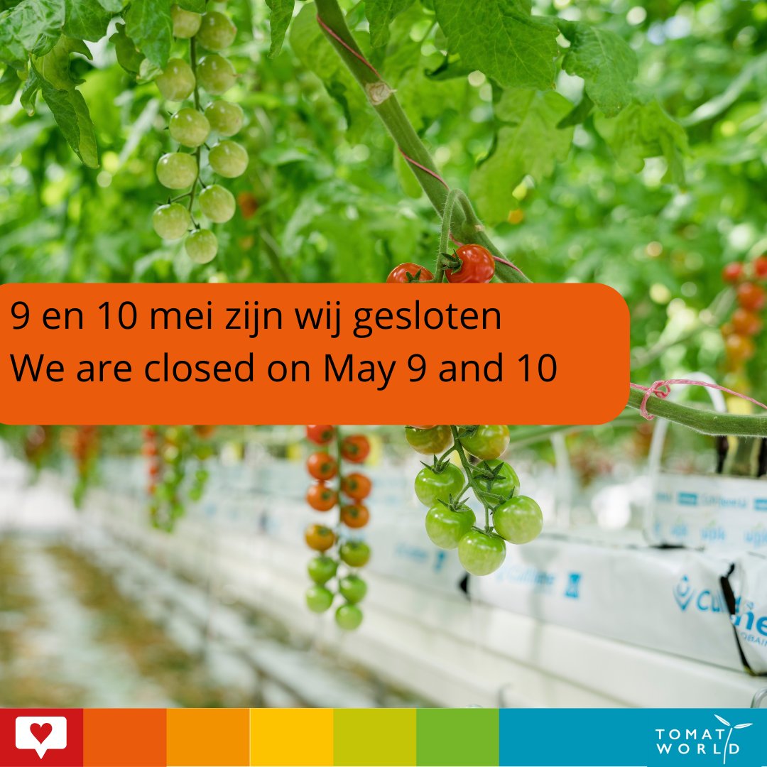 Tomatoworld (@tomatoworldnl) on Twitter photo  Tomatoworld (@tomatoworldnl) on Twitter photo